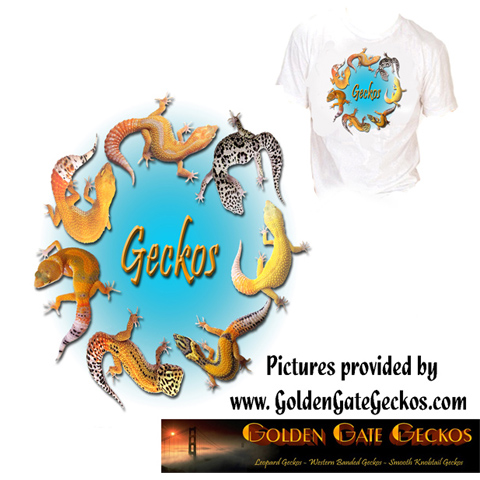 Gecko Circle
