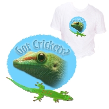 Day Gecko