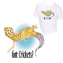 Gecko Got Crickets