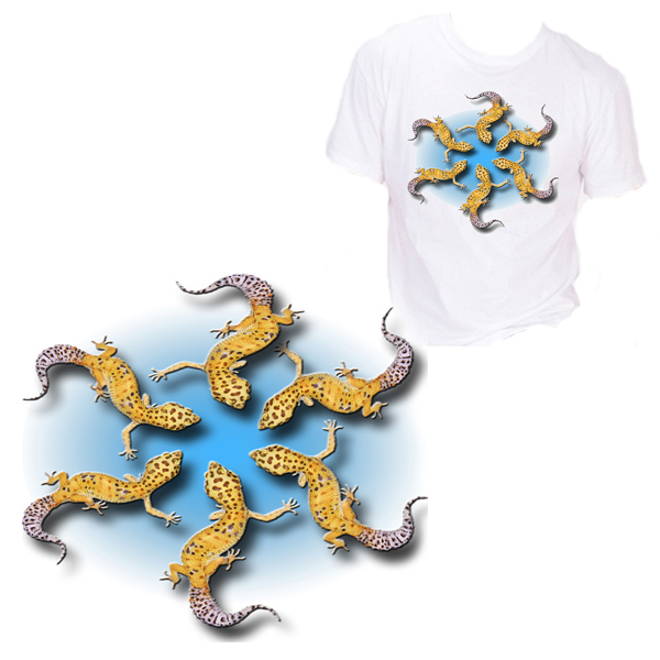 Gecko Sun