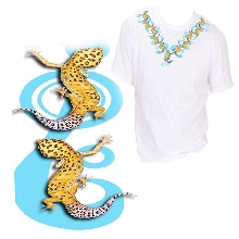Gecko V-neck