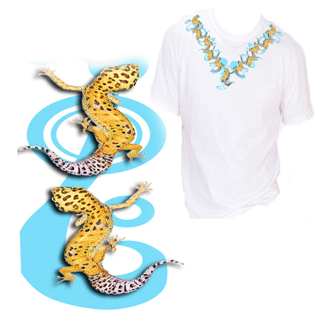 Gecko V-neck