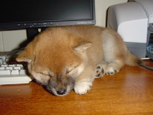 naptime