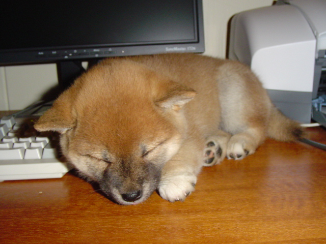 naptime