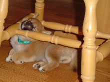 weird sleeping positions