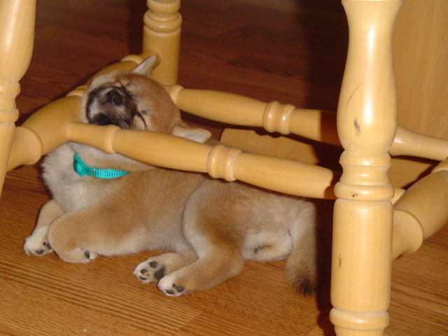 weird sleeping positions