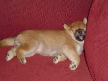 so tired!