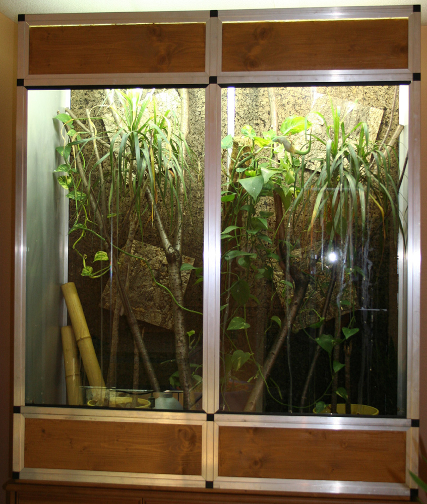 Terrarium