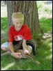 Adult Captive Bred Male Borneo Blood Python