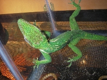 l3