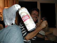 Boozy Bird