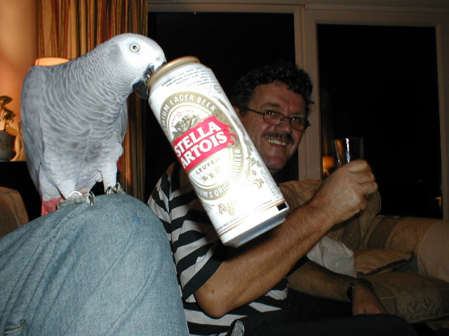 Boozy Bird