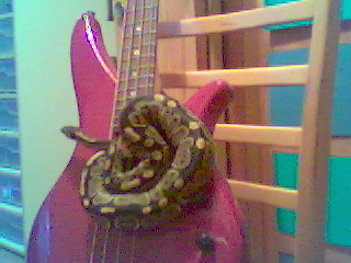 bass ball