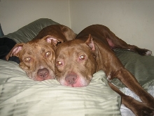 Red and Katie