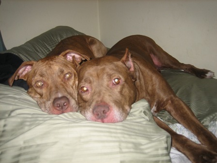 Red and Katie