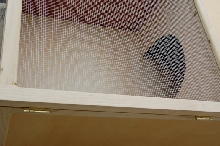 Indoor / Outdoor enclosure  2