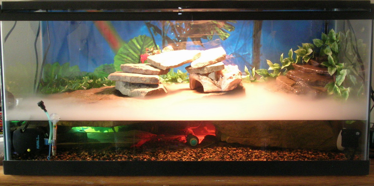 Turtle setup with fogger