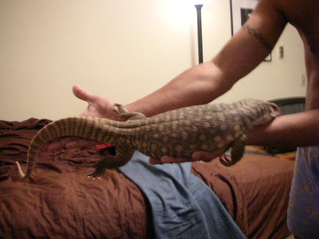 After bath!