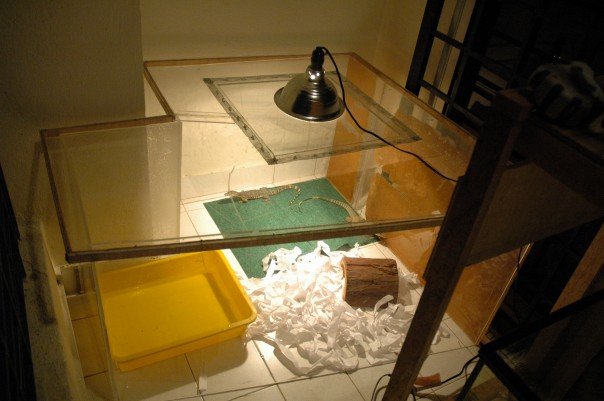 terranium for water and clouded