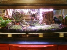 my new tank