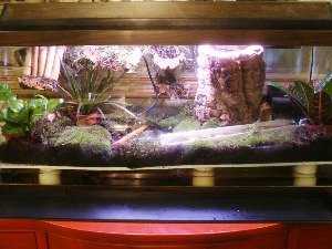 my new tank