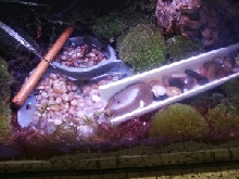 my new tank