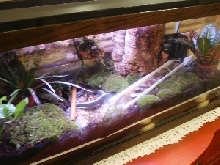 My new tank