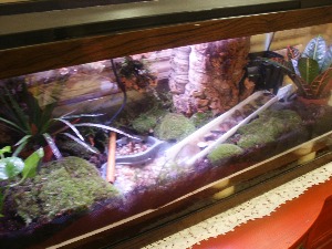 My new tank