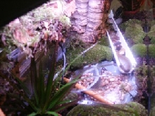 my new tank