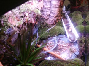 my new tank