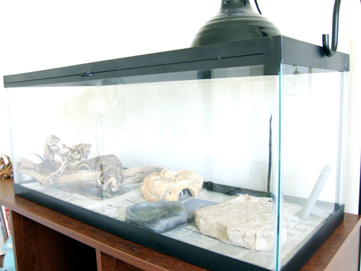Tank Setup