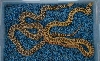 het. albino San Diego Gopher snakes