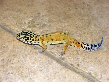 Gary on floor