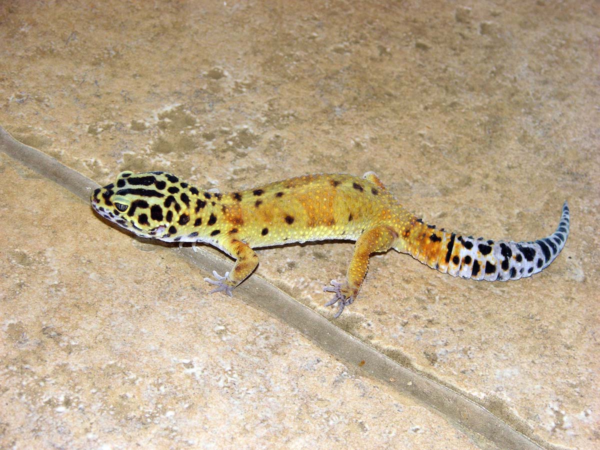 Gary on floor