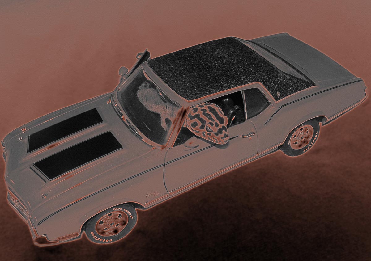 Gary car