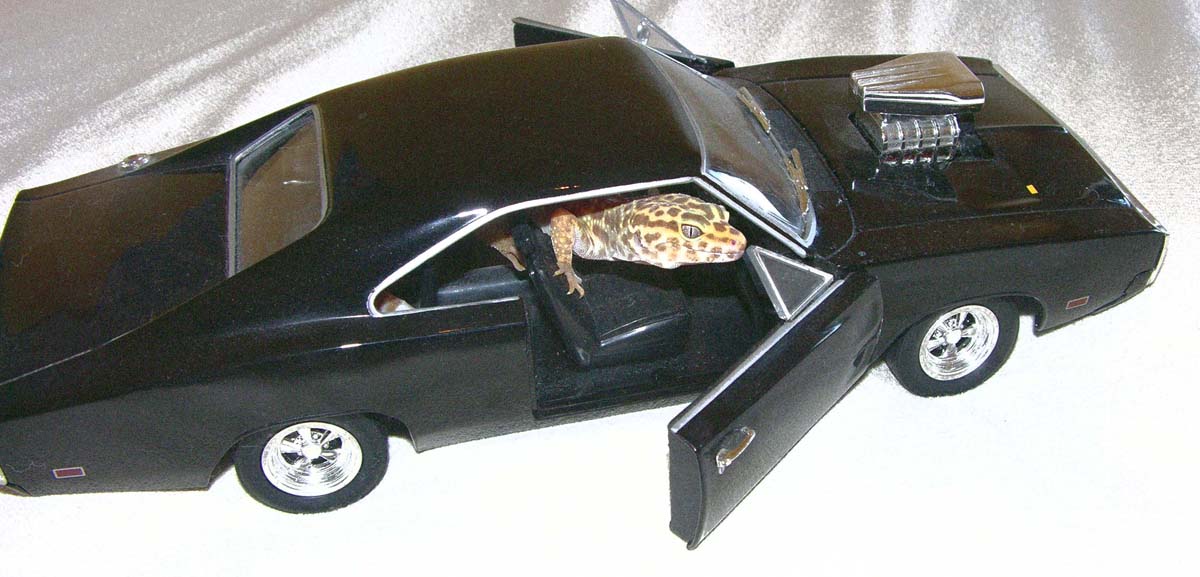 Hailie in car