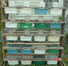 mice rack