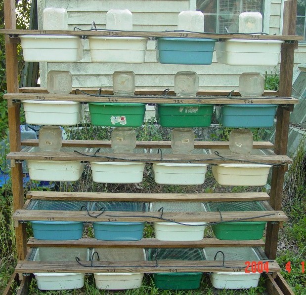 mice rack