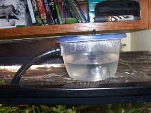 Fogger Setup