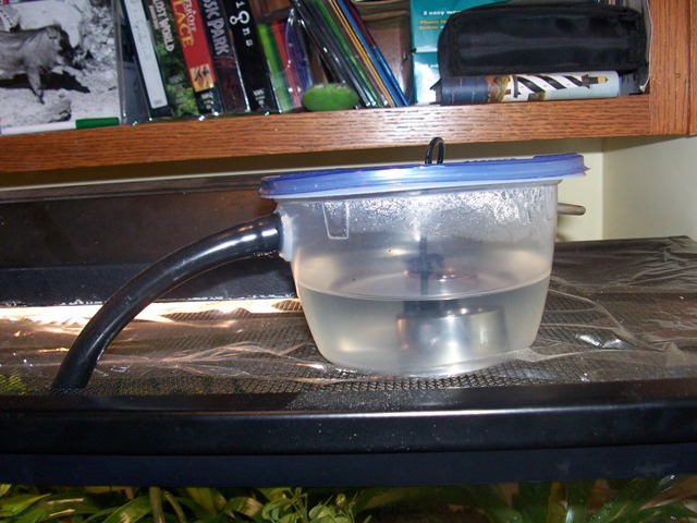 Fogger Setup