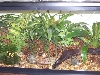 Luke's Leucs