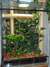 Terrarium