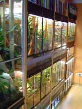 Terrarium