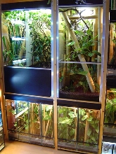 Terrarium
