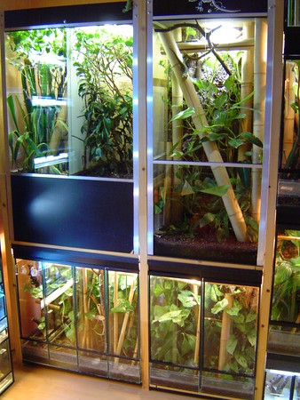 Terrarium