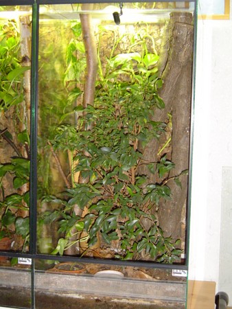 Terrarium