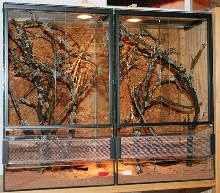 Terrarium