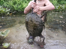 Swamp Monster