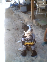Batgirl!