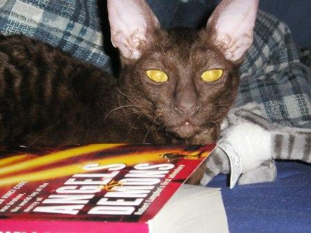 Jynx my little Demon